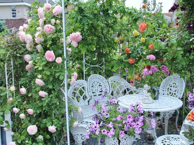 Khu vườn tràn ngập sắc hoa, đẹp như cổ tích của mẹ Việt ở Hà Lan