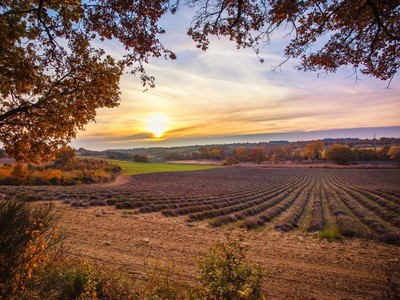 15 chuyến đi dành cho cặp đôi trong mùa Thu này