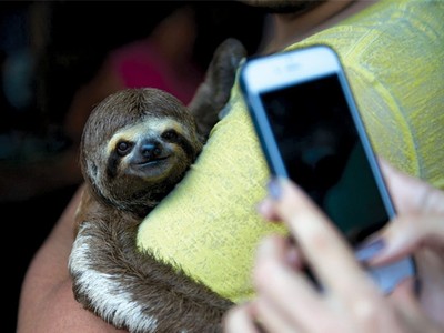 Mặt trái của selfie