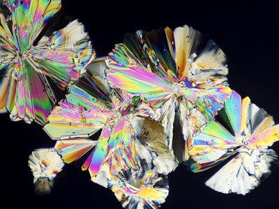 Hình ảnh lạ lẫm của các loại thực phẩm hàng ngày dưới ống kính hiển vi