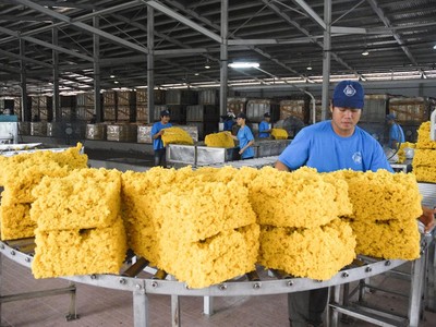 Cổ phiếu cần quan tâm ngày 3/1