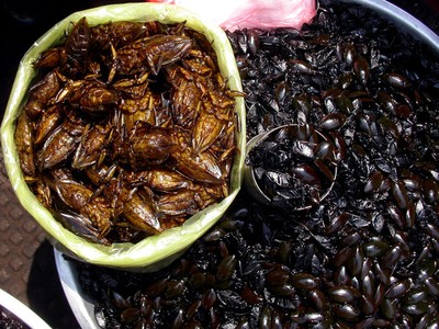 Khó cưỡng với đặc sản “sâu nước” và trứng kiến đất Ninh Bình