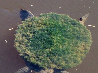 Những bức ảnh về tự nhiên sẽ khiến bạn phải kinh ngạc