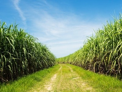 Cổ phiếu cần quan tâm ngày 11/1