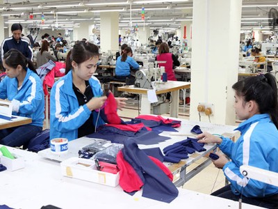 Đột biến trong quý IV, TNG hoàn thành kế hoạch 115 tỷ đồng lợi nhuận sau thuế năm 2017