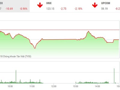 Phiên chiều 1/2: Hàng trăm mã giảm điểm, thị trường lao dốc