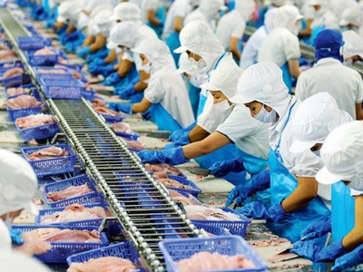 Cổ phiếu cần quan tâm ngày 29/10