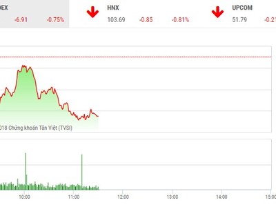 Phiên sáng 9/11: Sắc đỏ bao trùm, VN-Index mất mốc 920 điểm