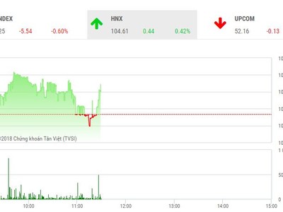 Phiên sáng 30/11: VNM và dòng bank không cứu nổi thị trường