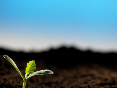 Big-Trends: Cơ hội xuất hiện ở các cổ phiếu vừa và nhỏ