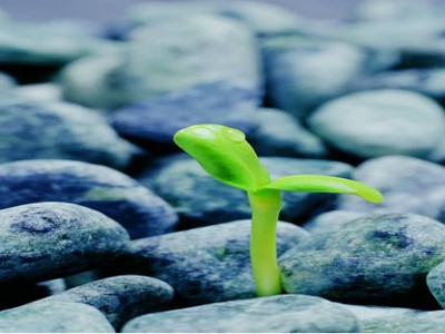 Nhìn lại “Gia Cát Dự” nhận định chứng khoán tuần qua