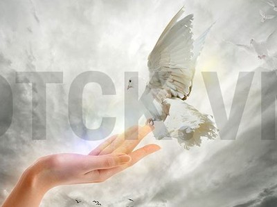 Big_Trends: Hãy tận dụng giai đoạn thị trường tốt ngay nửa đầu năm 2019