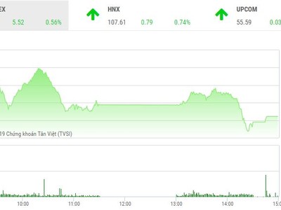 Phiên chiều 25/2: Cổ phiếu thép tỏa sáng, nhưng thị trường đuối sức