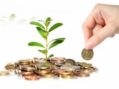 Chương Dương (CDC) trả cổ tức đợt 2/2019 bằng tiền, tỷ lệ 15%