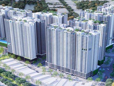 CCV chi gần 50 tỷ đồng trả cổ tức năm 2018 cho cổ đông