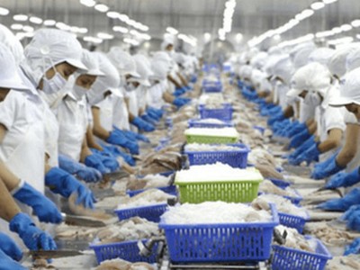 Vĩnh Hoàn (VHC) sẽ mua lại 2 triệu cổ phiếu quỹ