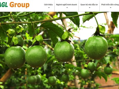 Cặp đôi cổ phiếu của bầu Đức vẫn chưa thoát khỏi diện cảnh báo