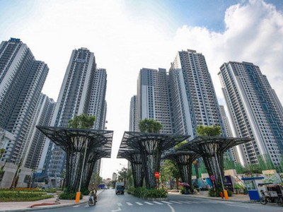 TNS Holdings (TN1) thông báo trả cổ tức bằng tiền mặt, tỷ lệ 12%