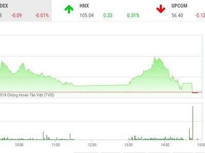 Phiên chiều 28/10: Thị trường quay đầu điều chỉnh, họ FLC bùng nổ