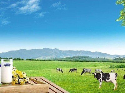 9 tháng, Vinamilk (VNM) đạt gần 8.380 tỷ đồng lợi nhuận sau thuế