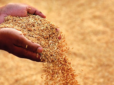 Tập đoàn Lộc Trời (LTG) trả cổ tức năm 2018 bằng tiền mặt, tỷ lệ 16%