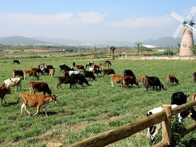 Cổ phiếu cần quan tâm ngày 21/11