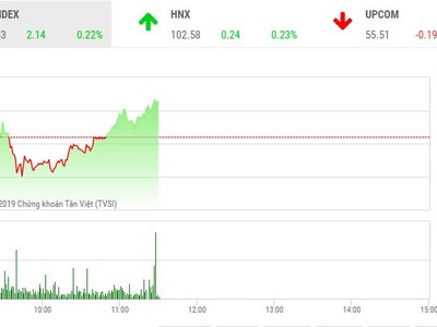 Phiên sáng 29/11: Tăng trong nghi ngờ
