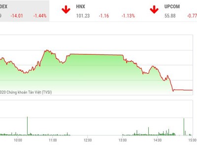 Phiên chiều 6/1: Ồ ạt xả hàng, thị trường chìm sâu