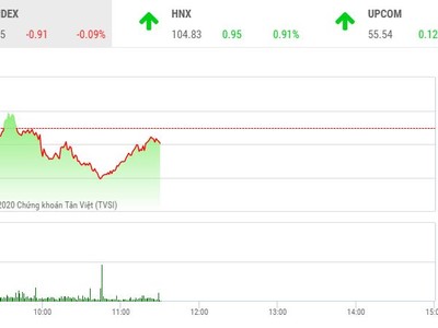 Phiên sáng 20/1: Nhà đầu tư khó “kiếm quà” tết