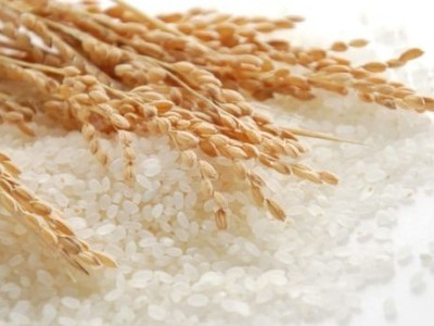 Vinafood II (VSF) bị phạt 50 triệu đồng do lỗi chậm công bố báo cáo tài chính