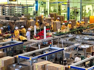 Đường Quảng Ngãi (QNS) trả thêm cổ tức năm 2019 bằng tiền, tỷ lệ 15%