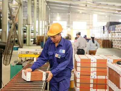 Viglacera Hạ Long (VHL) chi gần 70 tỷ đồng trả cổ tức năm 2019