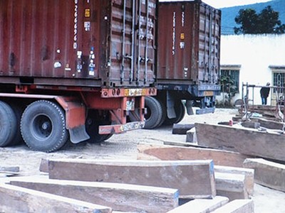 Giảm án cho kẻ đứng sau băng nhóm “rút ruột” container xuất khẩu