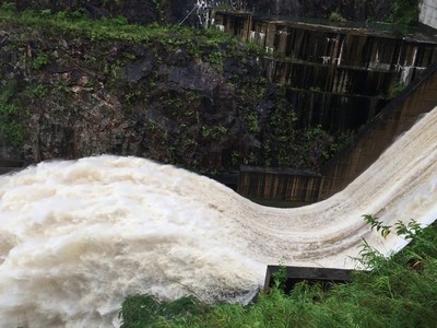 Sau 2 lần thất bại, Sông Đà Hoàng Long đã bán được hơn 4,1 triệu cổ phiếu NED