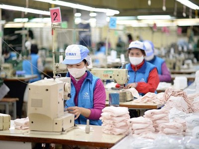 Có tới 31% doanh nghiệp có lợi nhuận sụt giảm mạnh trong nửa đầu năm 2020