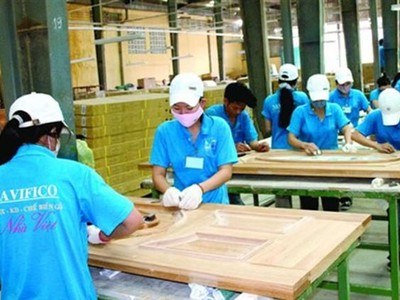 Navifico (NAV) chốt quyền trả cổ tức 8% bằng tiền mặt