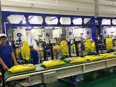 Nông nghiệp Công nghệ cao Trung An (TAR): Tổng giám đốc muốn bán hết 9,48 triệu cổ phiếu