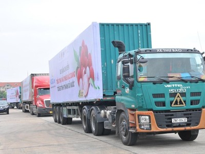 Tháo gỡ khó khăn logistic thương mại điện tử đảm bảo lưu thông hàng hoá