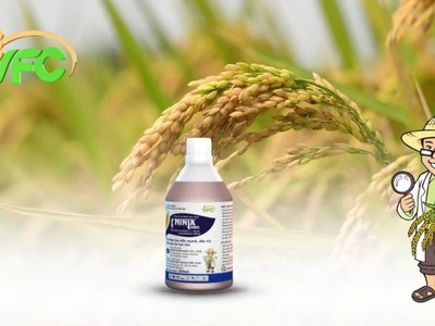 Khử trùng Việt Nam (VFG): HOSE lưu ý về khả năng cổ phiếu bị hủy niêm yết