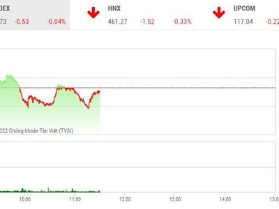 Giao dịch chứng khoán sáng 25/3: Thị trường rung lắc, cổ phiếu vừa và nhỏ sôi động