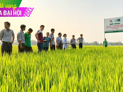 Chuyện ngược đời ở Lộc Trời (LTG): Đặt kế hoạch lợi nhuận thấp để hưởng thưởng lớn?