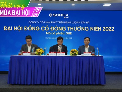 ĐHĐCĐ SHE: Nâng tỷ lệ chia cổ tức lên 20% bằng cổ phiếu, chưa chuyển sàn niêm yết