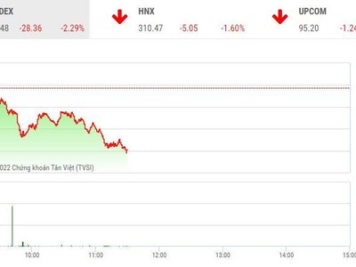 Giao dịch chứng khoán sáng 13/5: Lực bán dâng cao, VN-Index tiếp tục giảm sâu