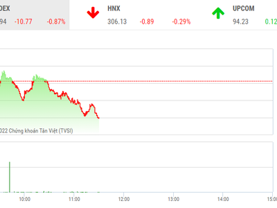 Giao dịch chứng khoán sáng 23/5: VN-Index mất hơn 10 điểm, nhóm thủy sản lại dậy sóng