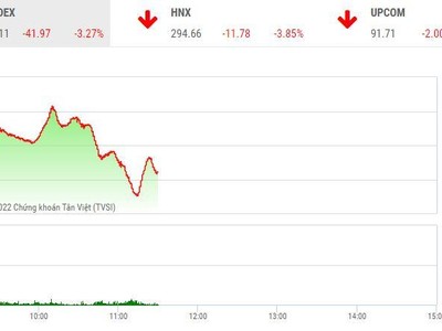 Giao dịch chứng khoán sáng 13/6: VN-Index bốc hơi hơn 40 điểm, nhóm cổ phiếu điện vẫn ngược dòng