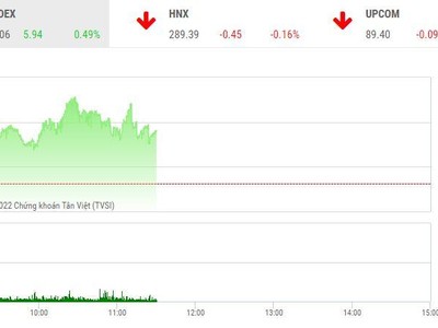Giao dịch chứng khoán sáng 29/7: Lực bán gia tăng, thị trường hụt hơi