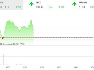 Giao dịch chứng khoán sáng 8/8: Nhóm cổ phiếu chứng khoán đuối sức