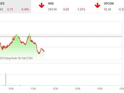 Giao dịch chứng khoán sáng 22/8: Thị trường giật lùi, thanh khoản tăng vọt