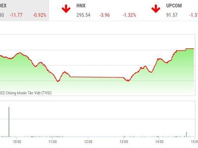 Giao dịch chứng khoán chiều 29/8: VN-Index bật hồi hơn 20 điểm, cổ phiếu dầu khí và phân bón nổi sóng