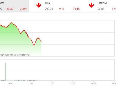 Giao dịch chứng khoán sáng 29/8: Thị trường lao dốc mạnh, vẫn có những điểm sáng ngược dòng thành công